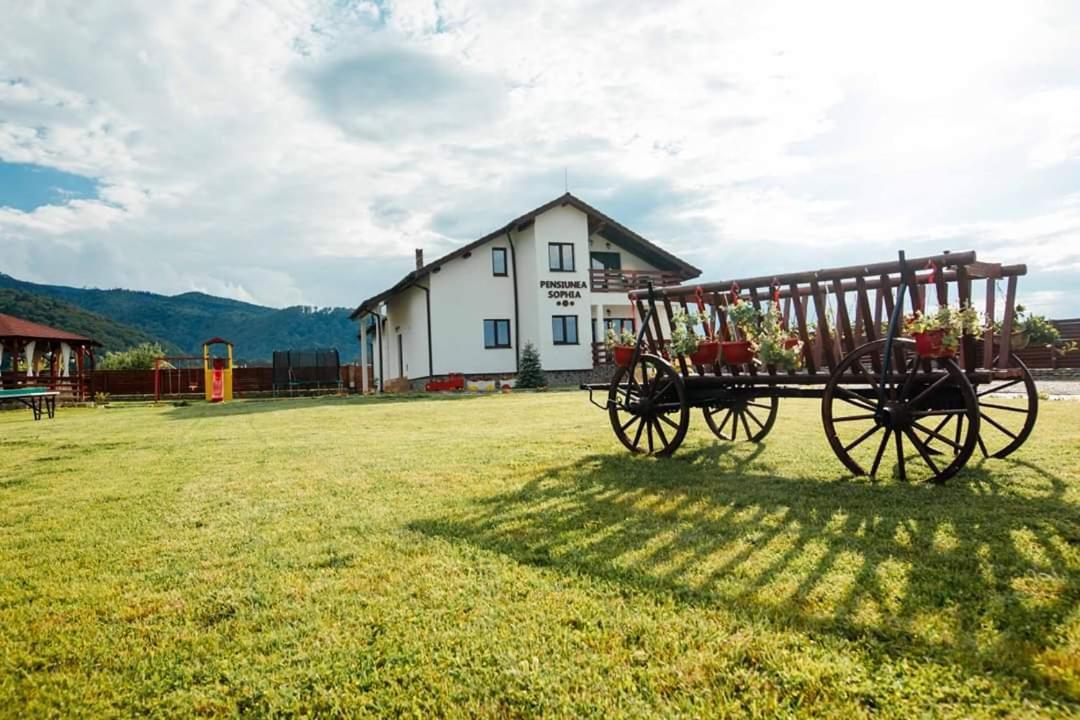 Pensiunea Sophia Стацьюня-Климатерикэ-Сымбэта Экстерьер фото