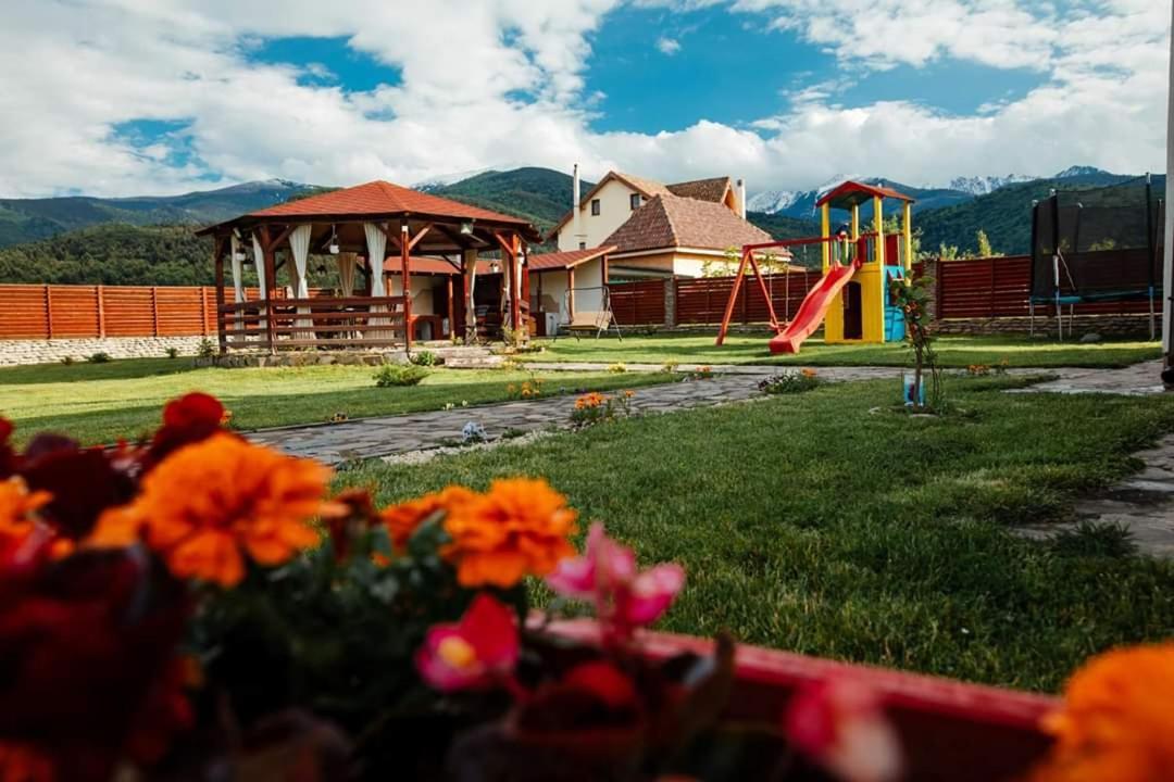 Pensiunea Sophia Стацьюня-Климатерикэ-Сымбэта Экстерьер фото
